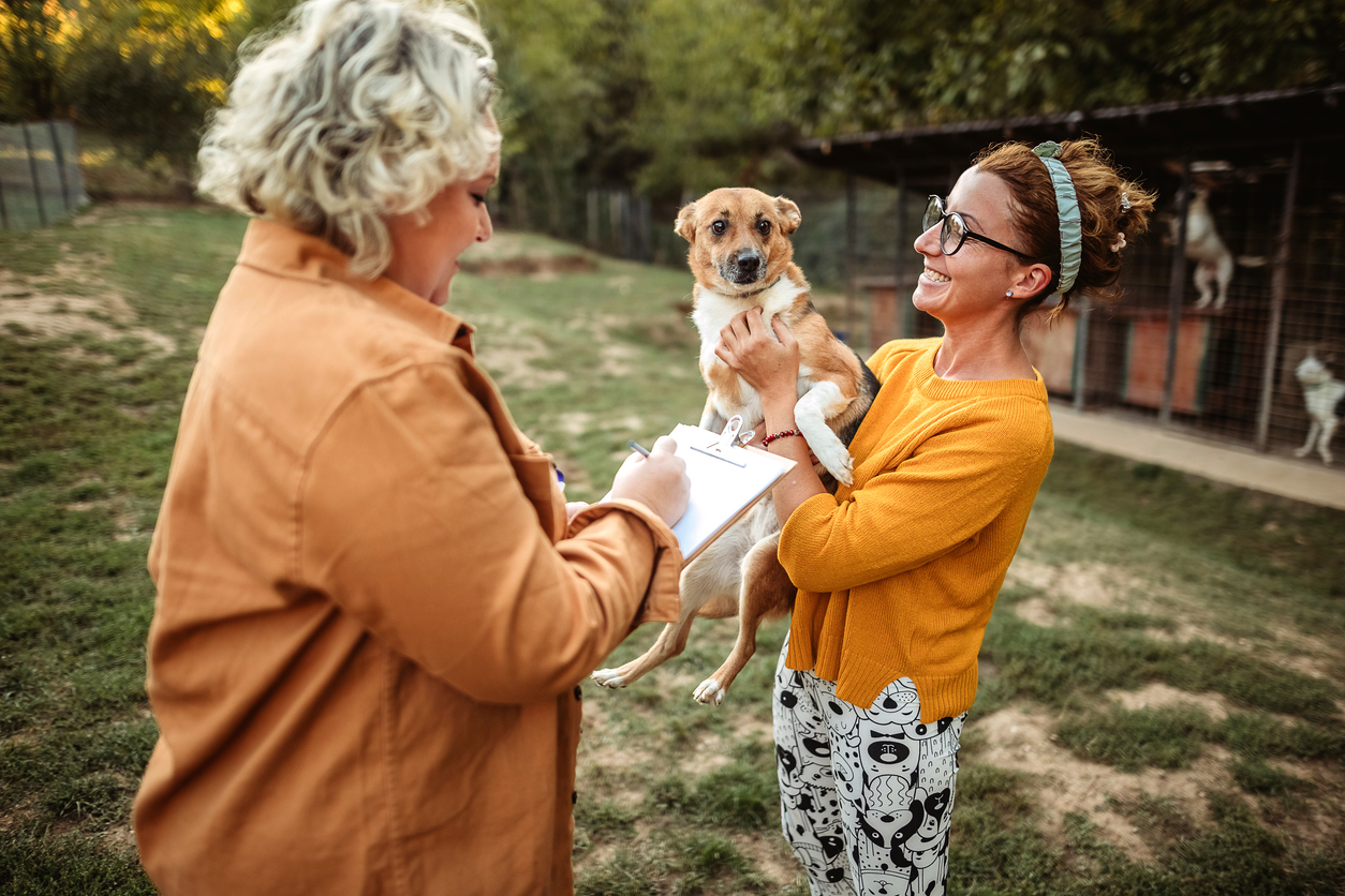 From Shelter to Your Home: Preparing for Life With a Rescue Dog