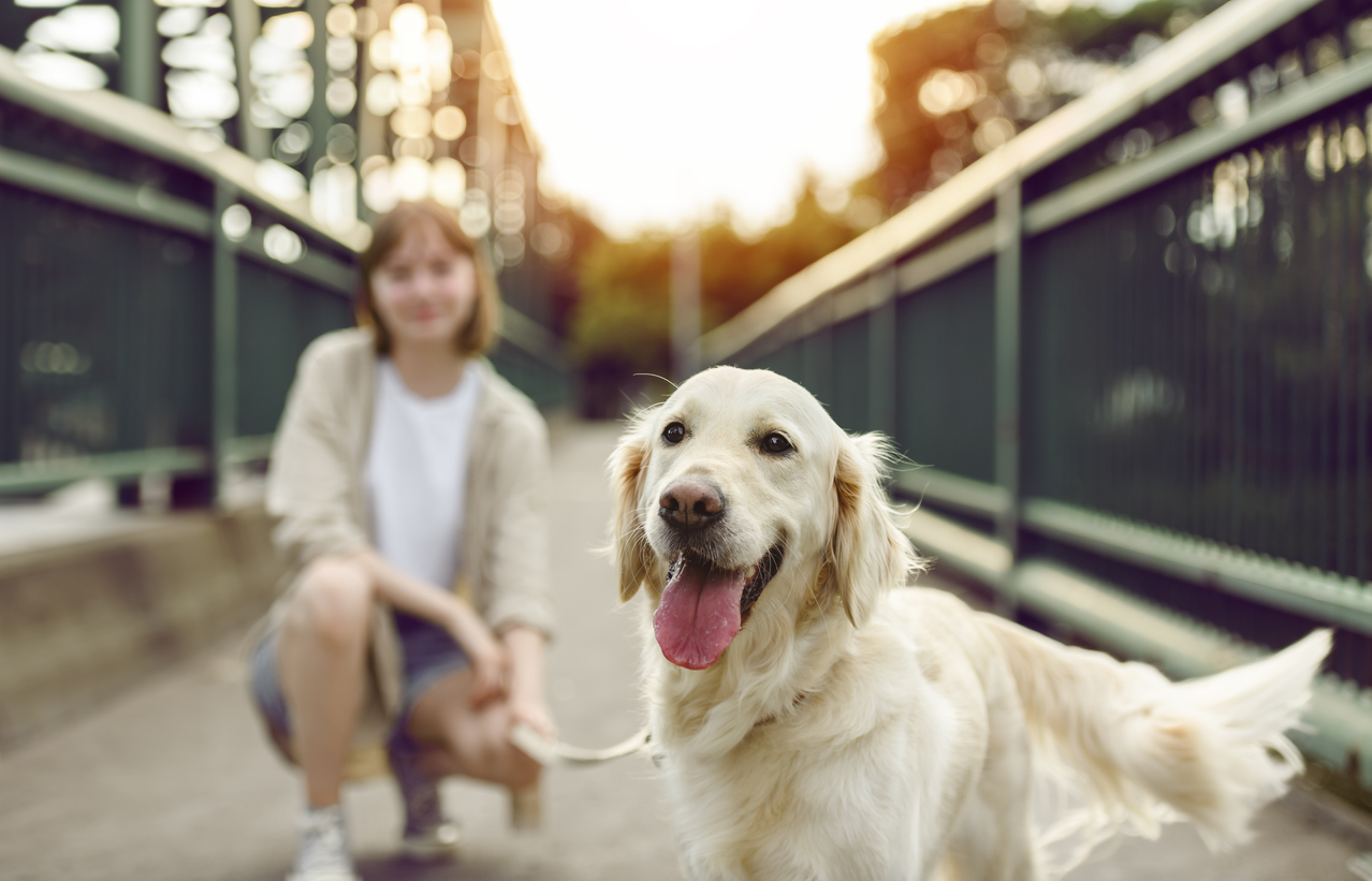 Puppy Playtime: Exploring the Challenges and Solutions of Doggy Daycare