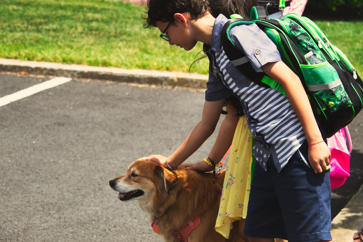 Walking The Walk: Teaching Canine Etiquette on the Way to School