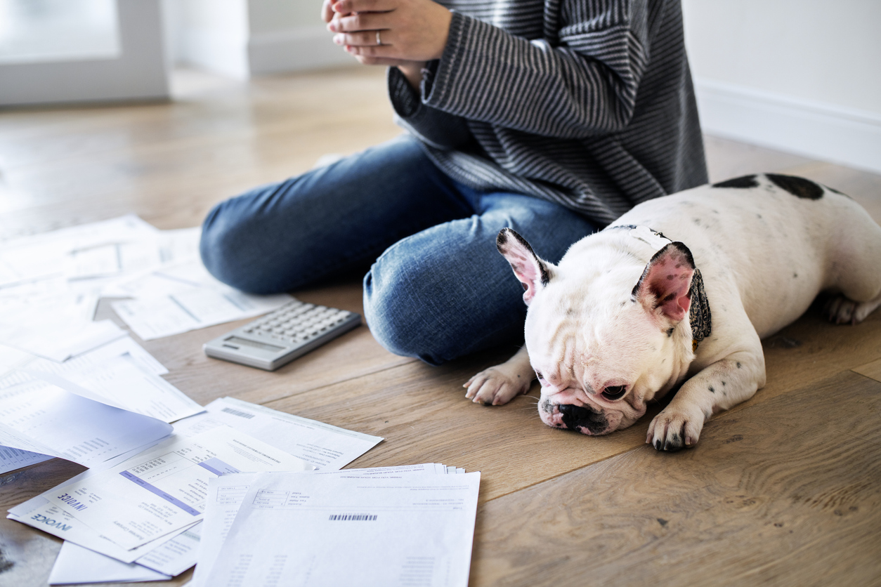 The Financial Impact of Not Having Dog Bite Insurance