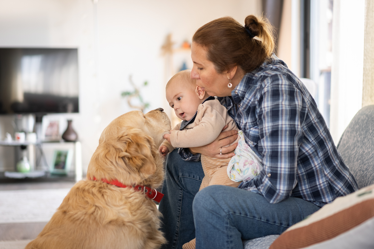 Bringing a New Dog Into a Home With Children