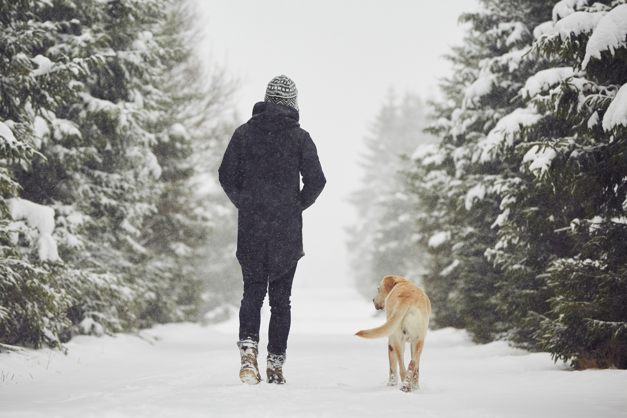 Preparing Your Dog for Winter & How Dog Liability Insurance Helps